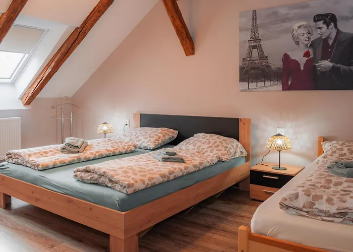 Апартаменты Apatman Fellini House *